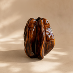Keramieken Design Vaas Bruin
